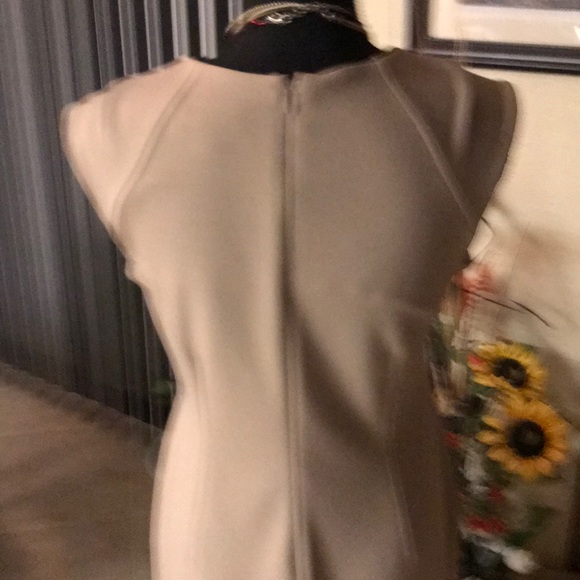 Shelby & Palmer Taupe Sheath Dress - Picture 4 of 5